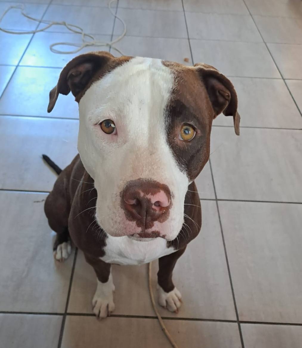 588595598 122192393498294771 5656199075920818443 n