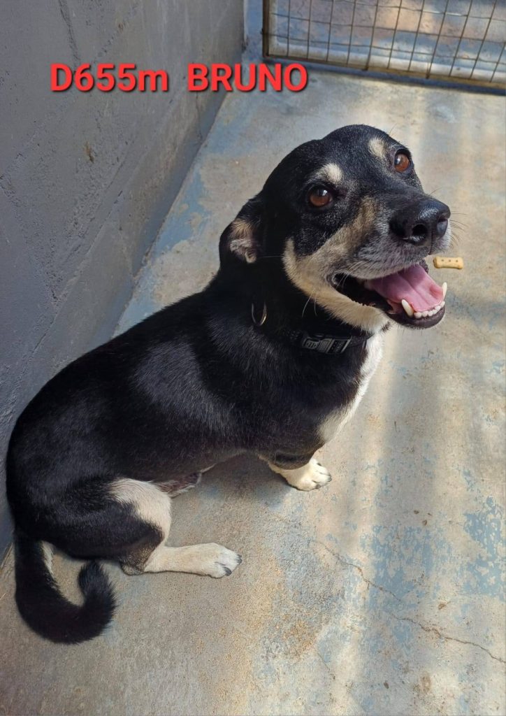 616821651 122198506886294771 820416110851670893 n