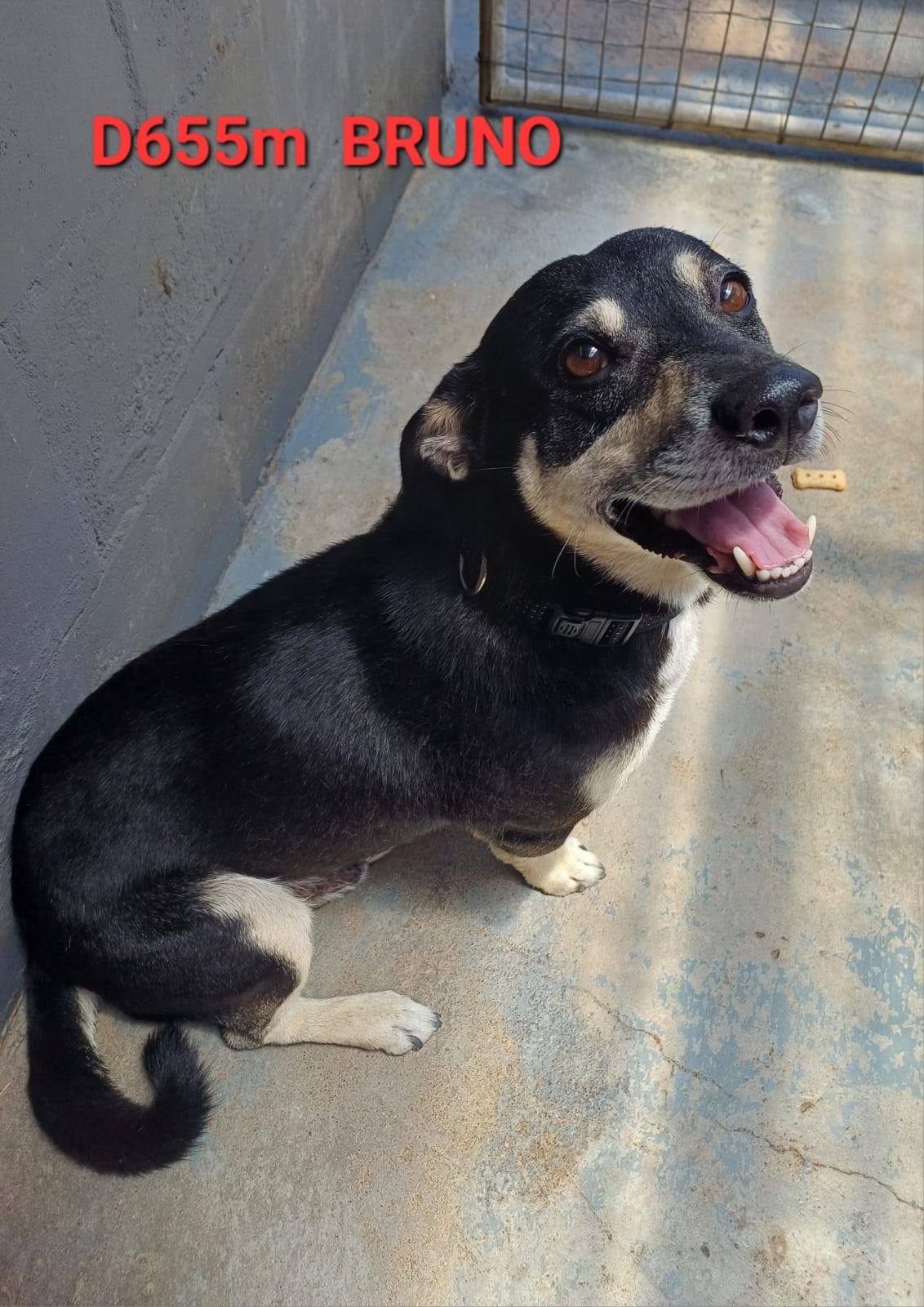 616821651 122198506886294771 820416110851670893 n