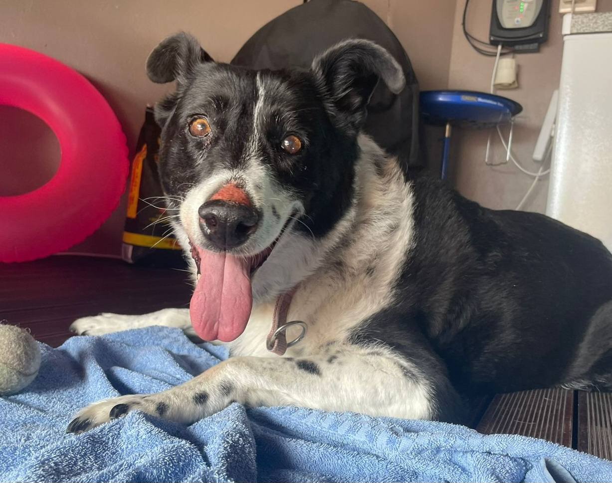 628211036 122200453646294771 1450977777428853094 n