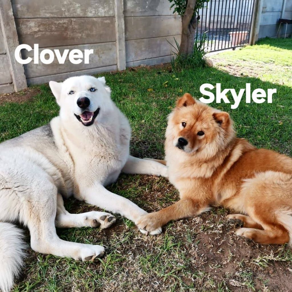 631240914 122200847822294771 7256396369131460786 n