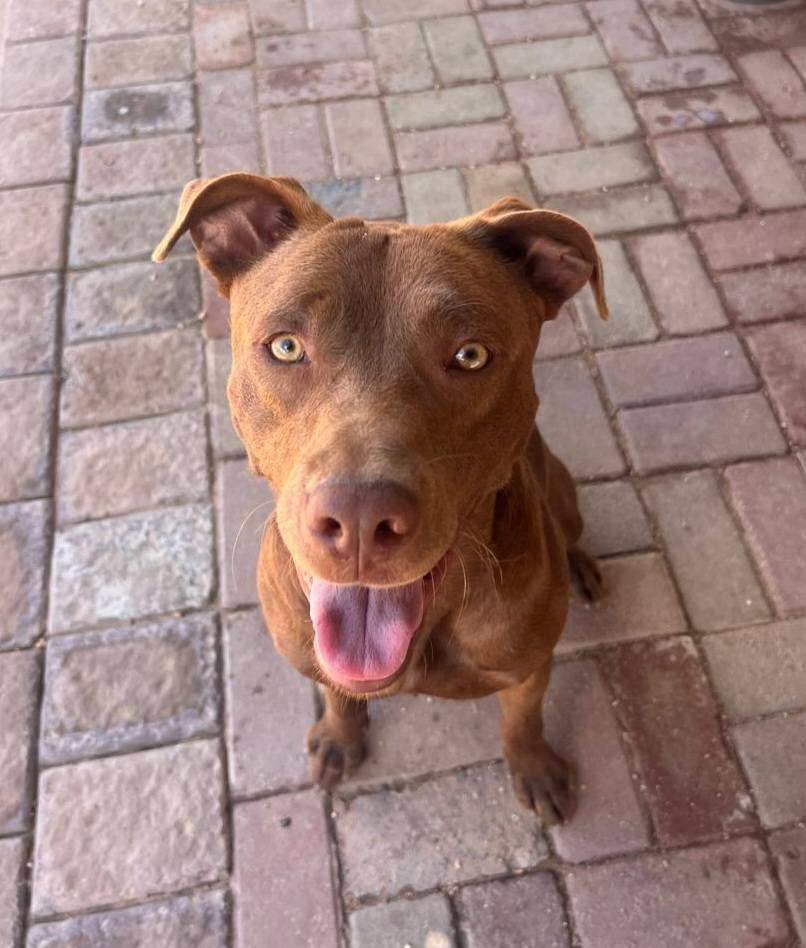 632046656 122200955792294771 4514424124716784946 n