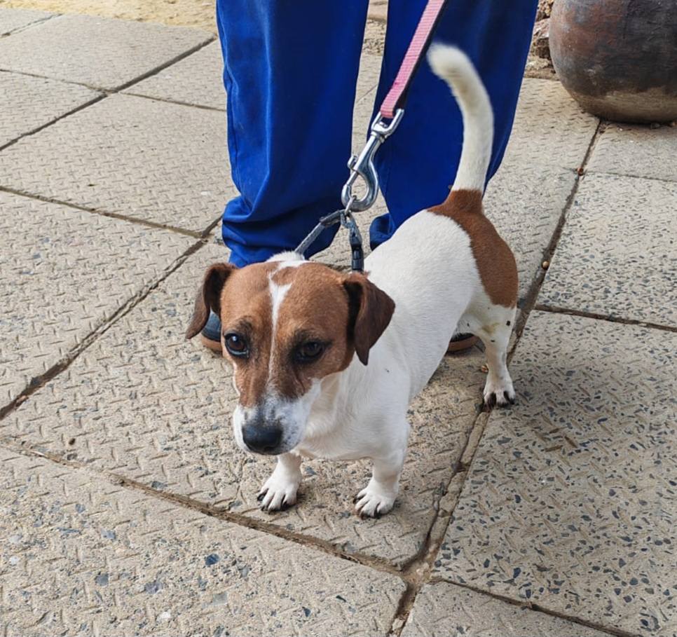 632609301 122201013038294771 3639490579264983293 n