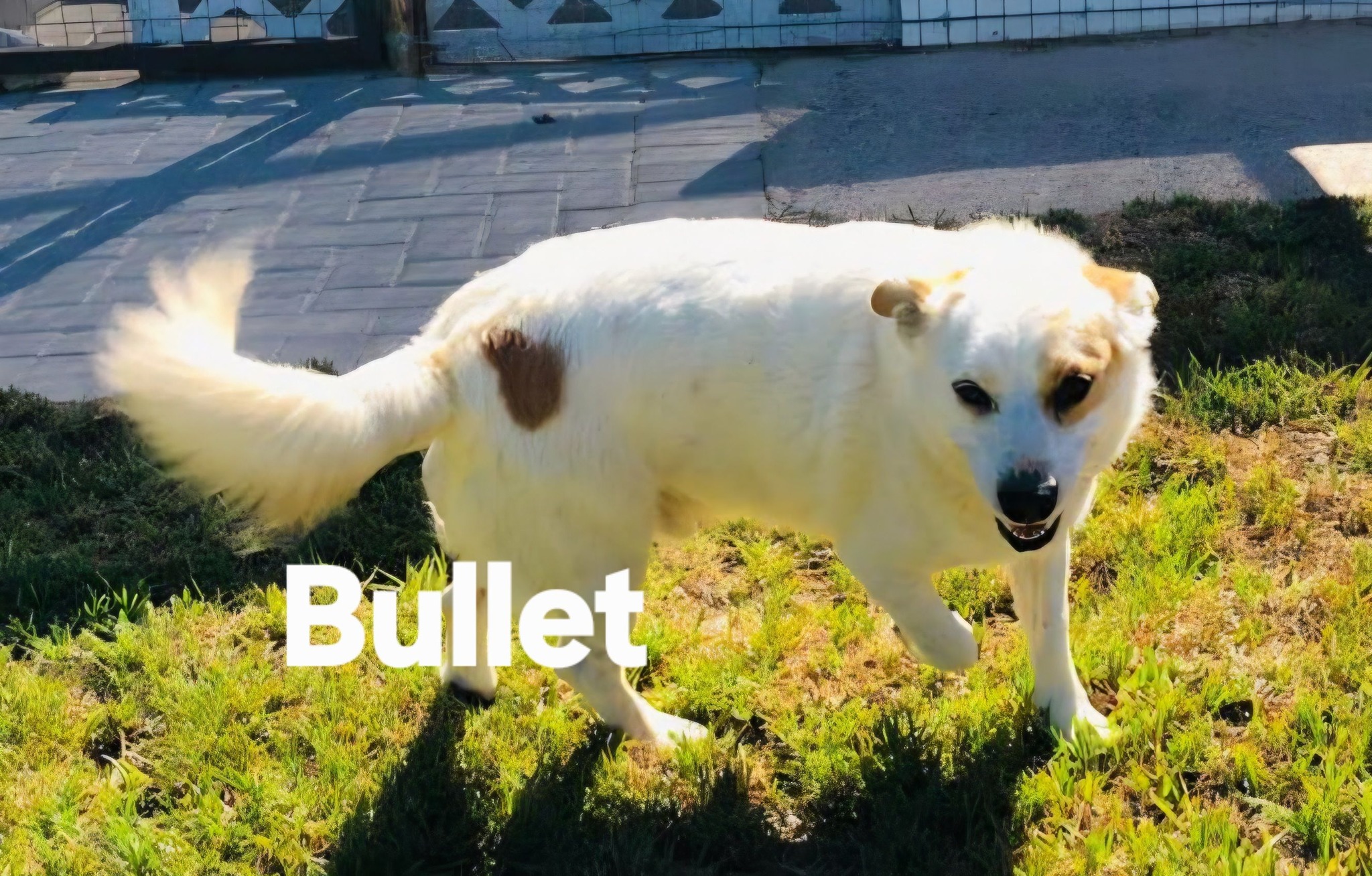 634057268 122201194736294771 8403949334116924891 n