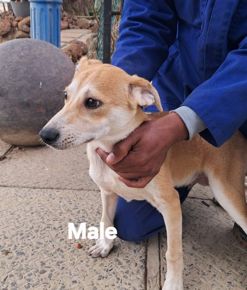 634175113 122201318486294771 4546372923065964660 n