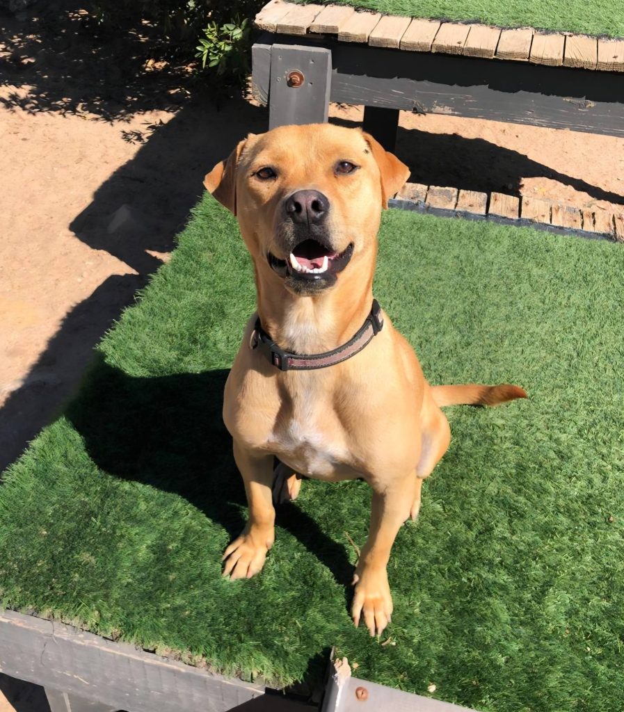 634836069 122201191388294771 440095679022941947 n