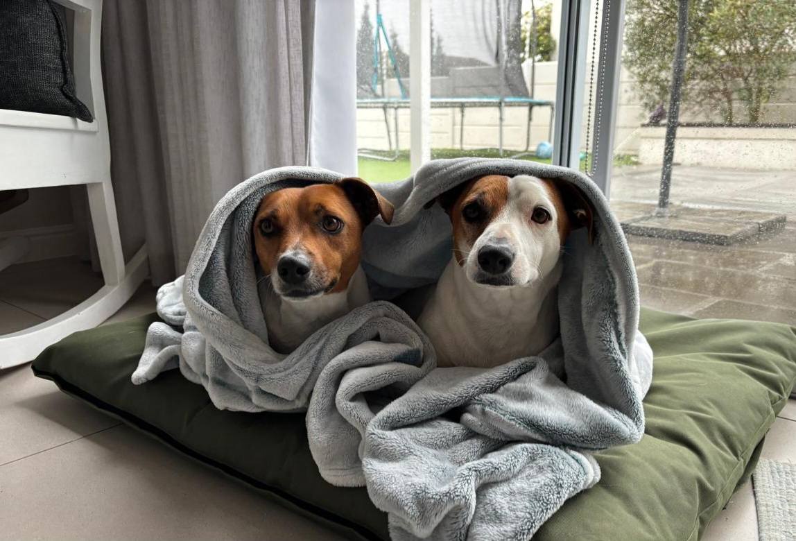 637984579 122201721026294771 8397552275854515893 n