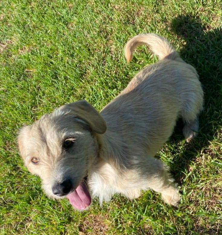 638306269 122201895098294771 9034256778921271771 n