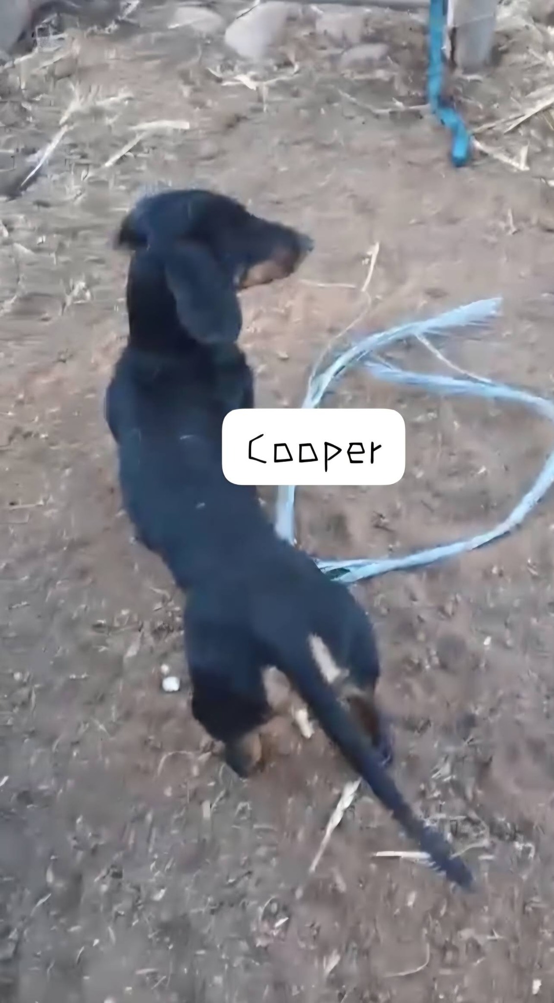 638391479 122201826134294771 7964439276392071945 n