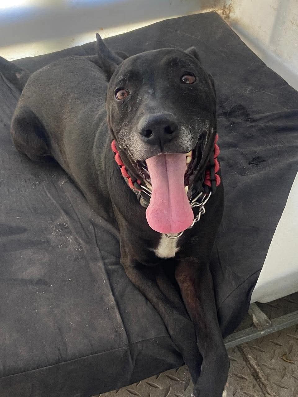 638996315 122201807930294771 3595921313823865467 n