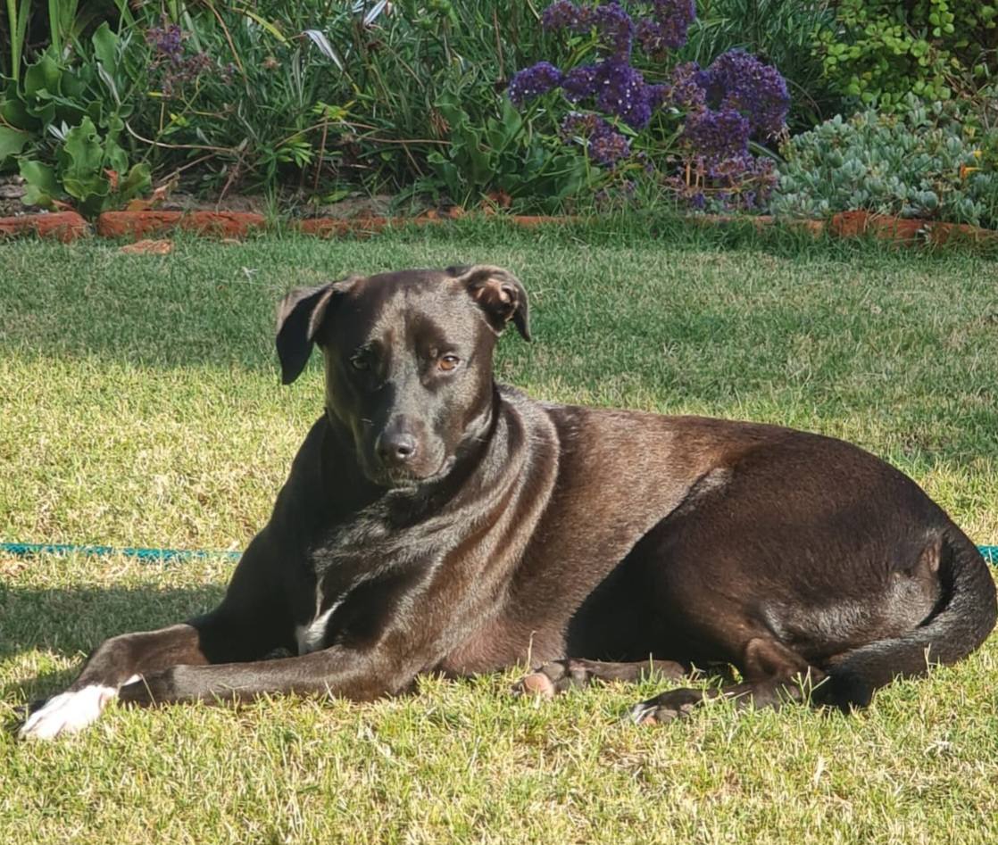 641454087 122202387434294771 5844305919906997954 n