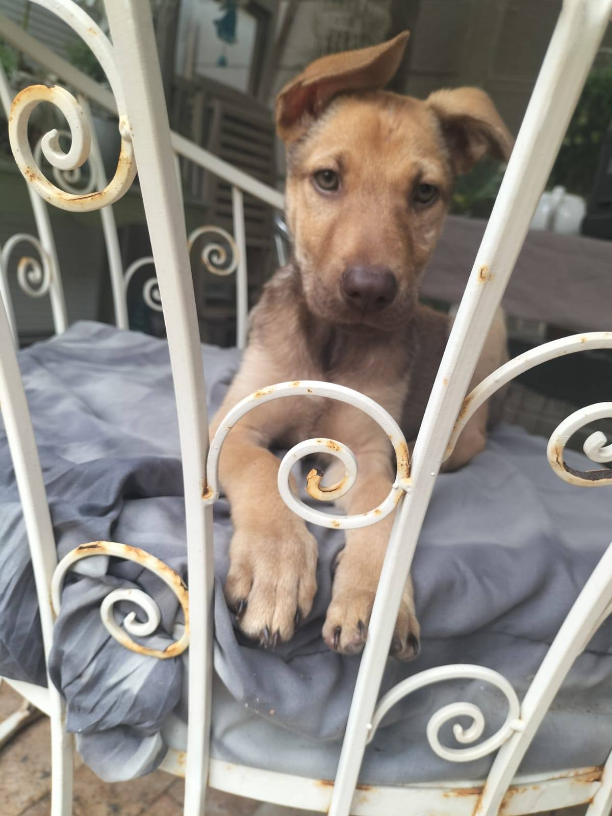 641597729 122202379664294771 2568285953680018445 n