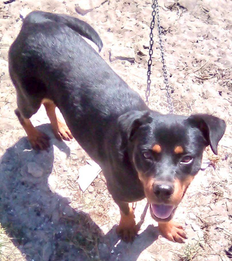 641614325 122202382964294771 8998886292493502576 n