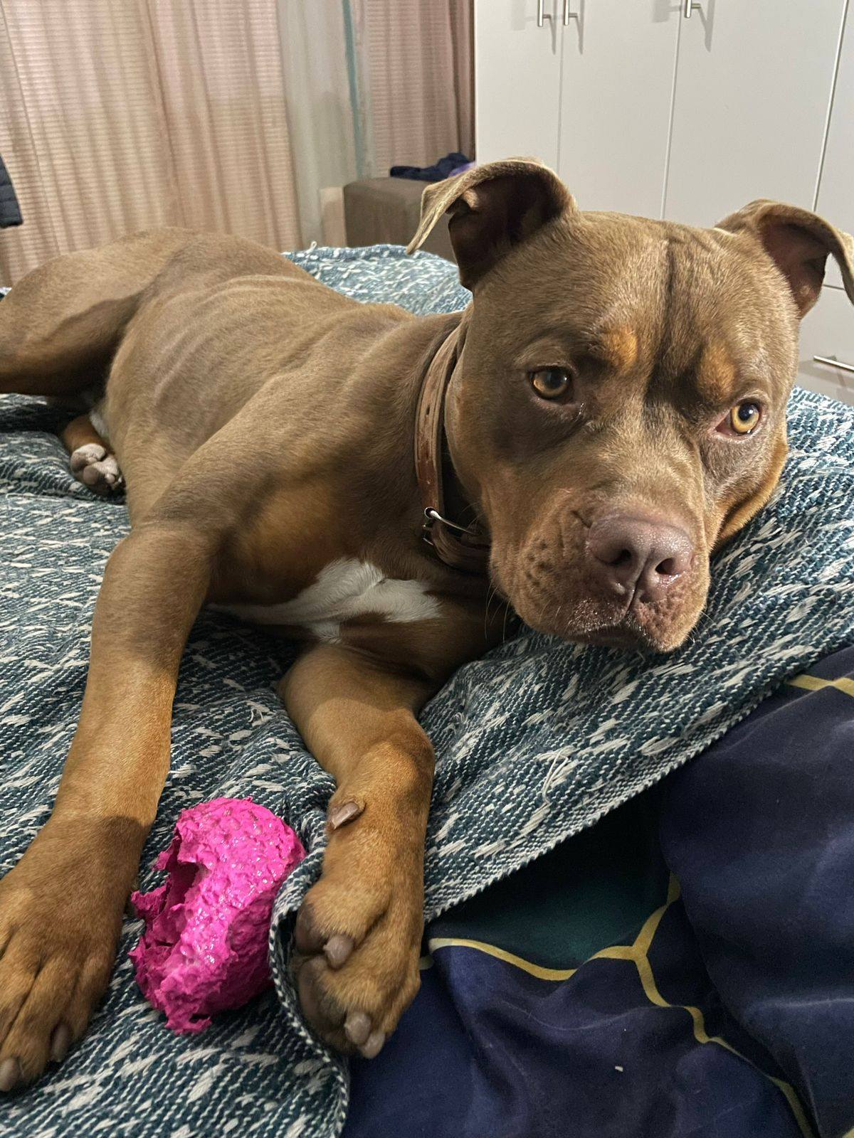 641660793 122202392150294771 8323543897158478053 n