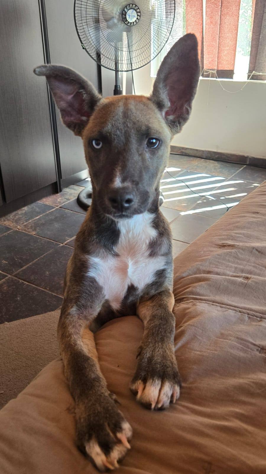 642188524 122202395666294771 2969269886234336735 n