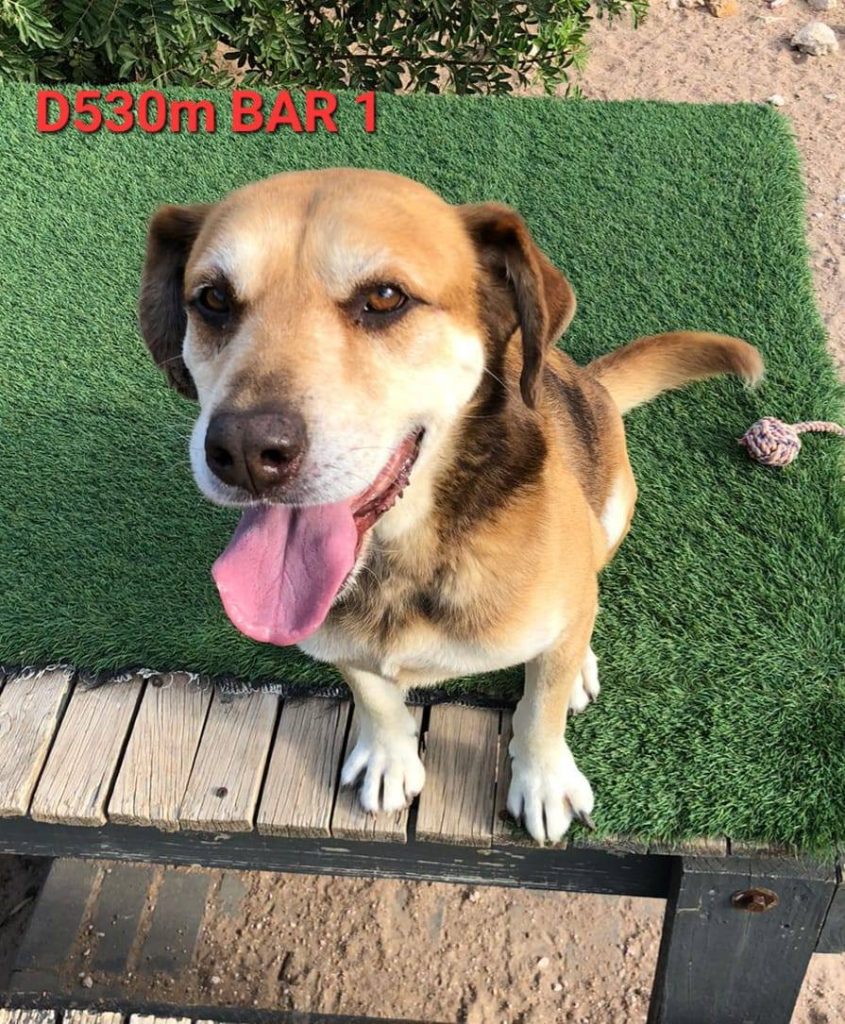 642211935 122202401030294771 2566332536026931266 n