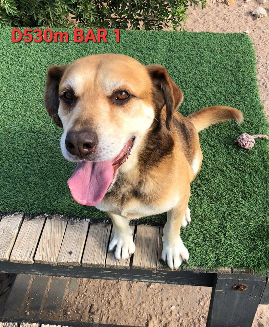 642211935 122202401030294771 2566332536026931266 n